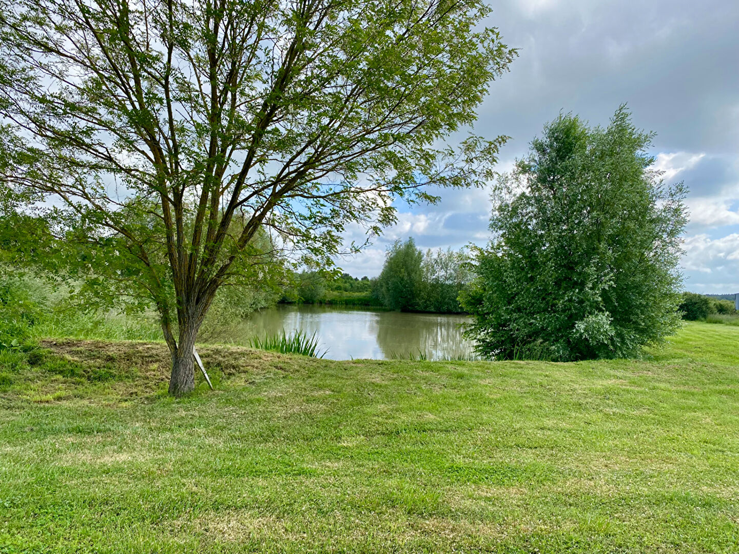 Maison/ étang/ terrain 10 hectares à Billy
