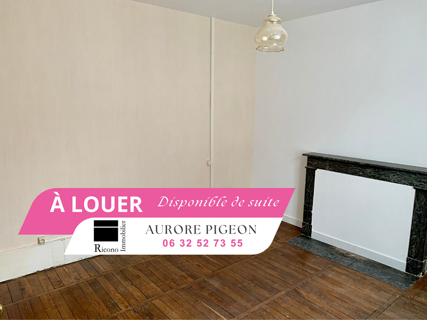 Photo Appartement centre ville SELLES sur CHER 2 chambre 60m2 image 1/6