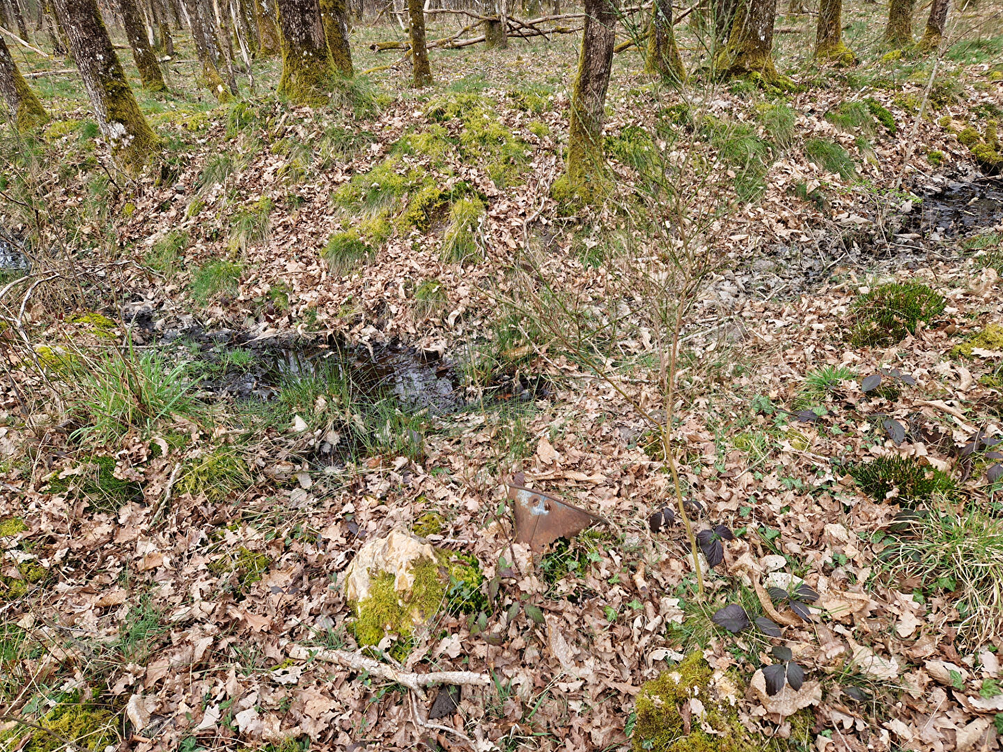 LANGON SUR CHER 41320 PARCELLES DE BOIS TAILLIS
