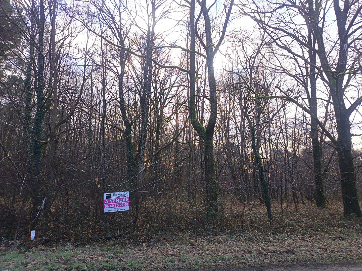 Agence immobilière de 
 RICONO IMMOBILIER SELLES SUR CHER - RICONO IMMOBILIER 
