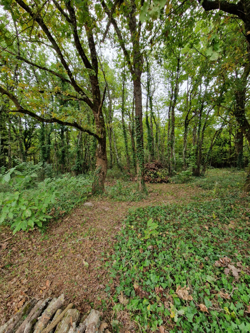 Terrain Chatillon Sur Cher 7000 m2