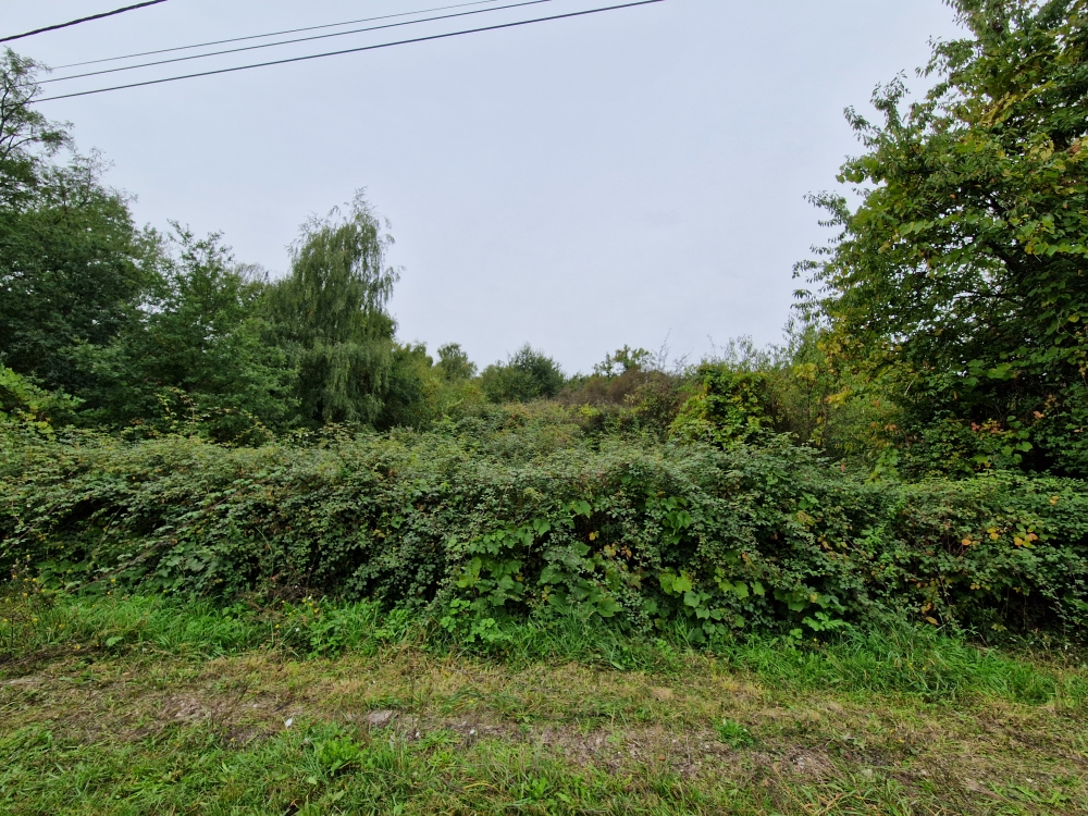 Photo Terrain Chatillon Sur Cher 7000 m2 image 2/2