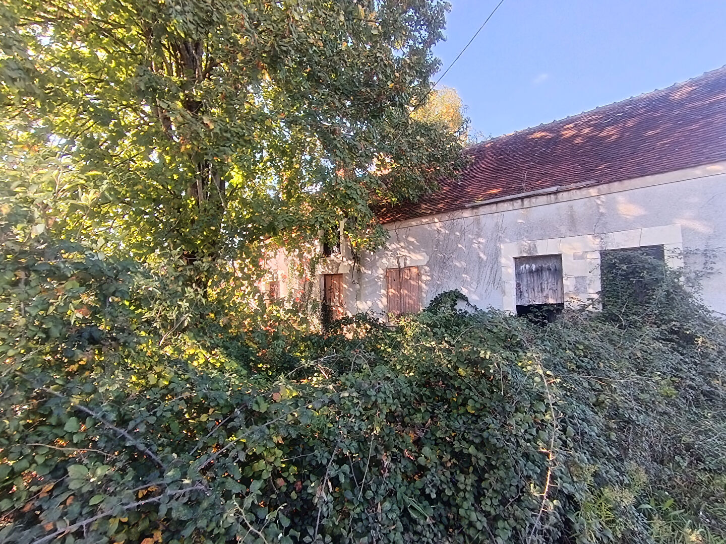 Agence immobilière de 
 RICONO IMMOBILIER SELLES SUR CHER - RICONO IMMOBILIER 
