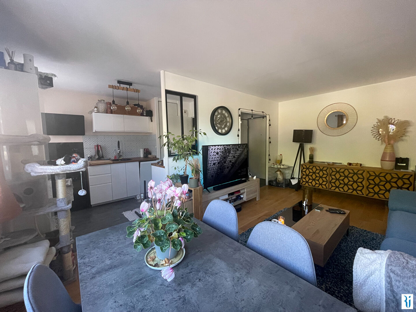 Photo Appartement Rouen 2 pièce(s) 49.1 m2 image 2/6