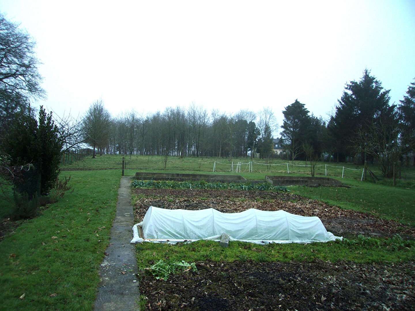 Photo Maison indépendante à Goven de  142M² image 2/6