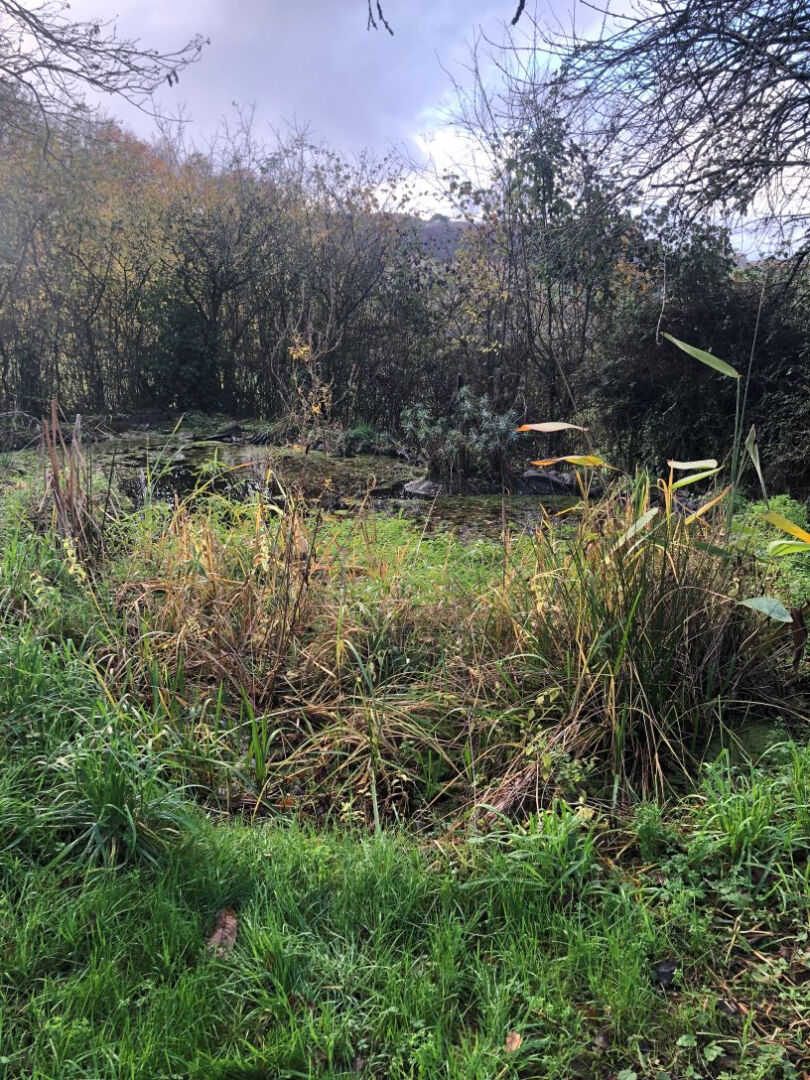 Photo Maison Laille 7 pièce(s) 167 m2 image 3/6