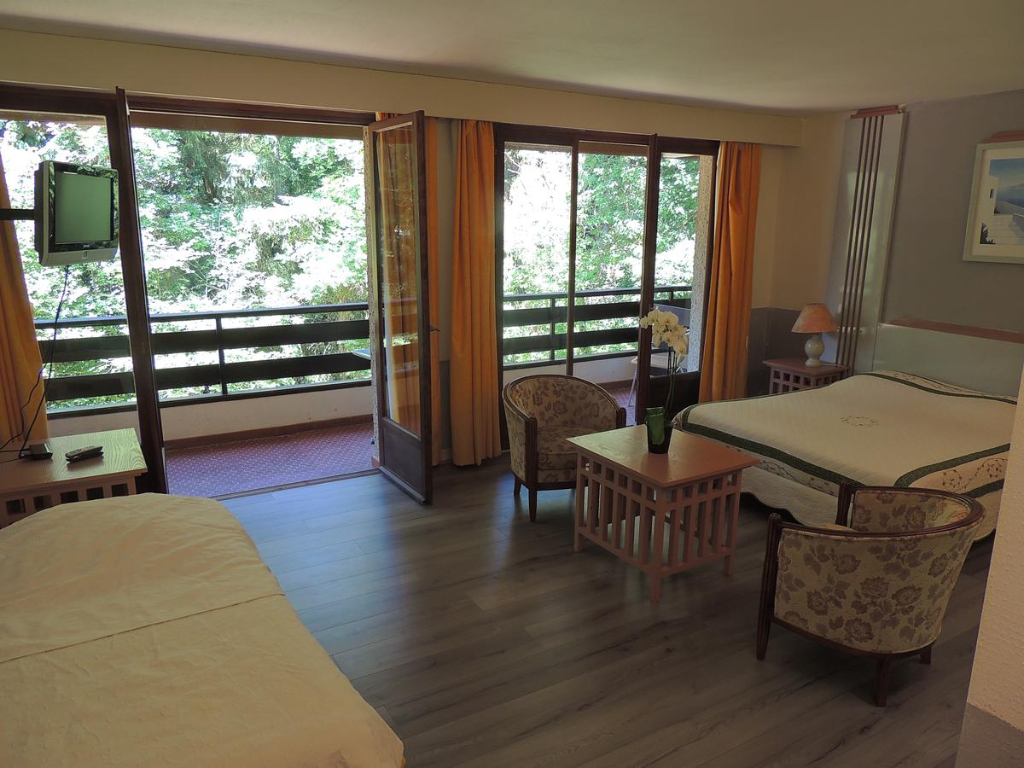 Photo Fonds de commerce d'un hôtel restaurant , bar - LOURDES image 6/6