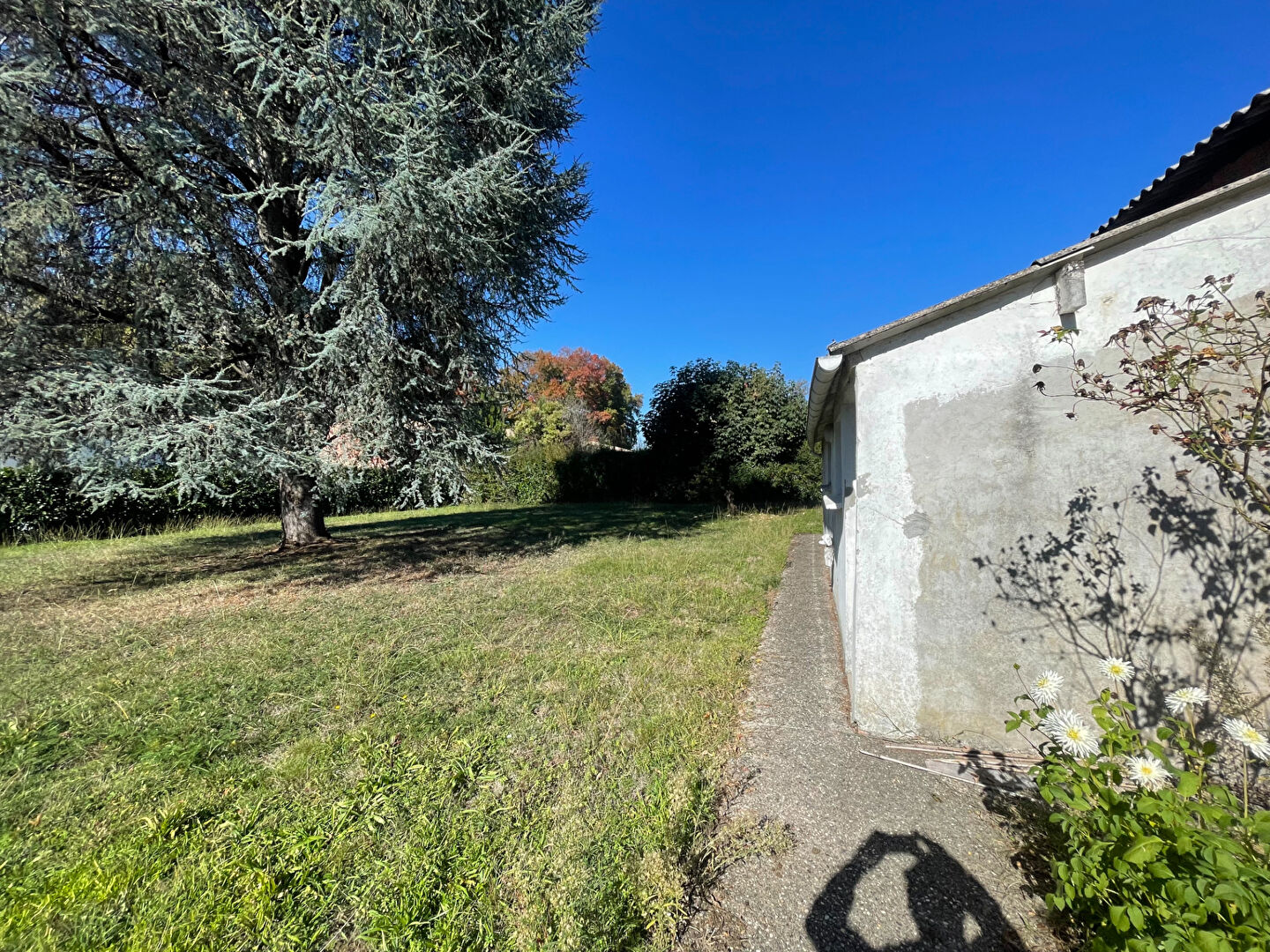 Photo Maison image 6/6