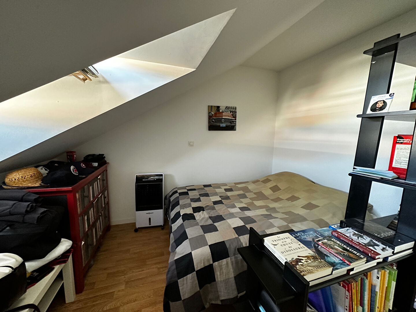 Photo LES SORINIÈRES : Appartement 1 pièce avec coin chambre et stationnement image 2/4