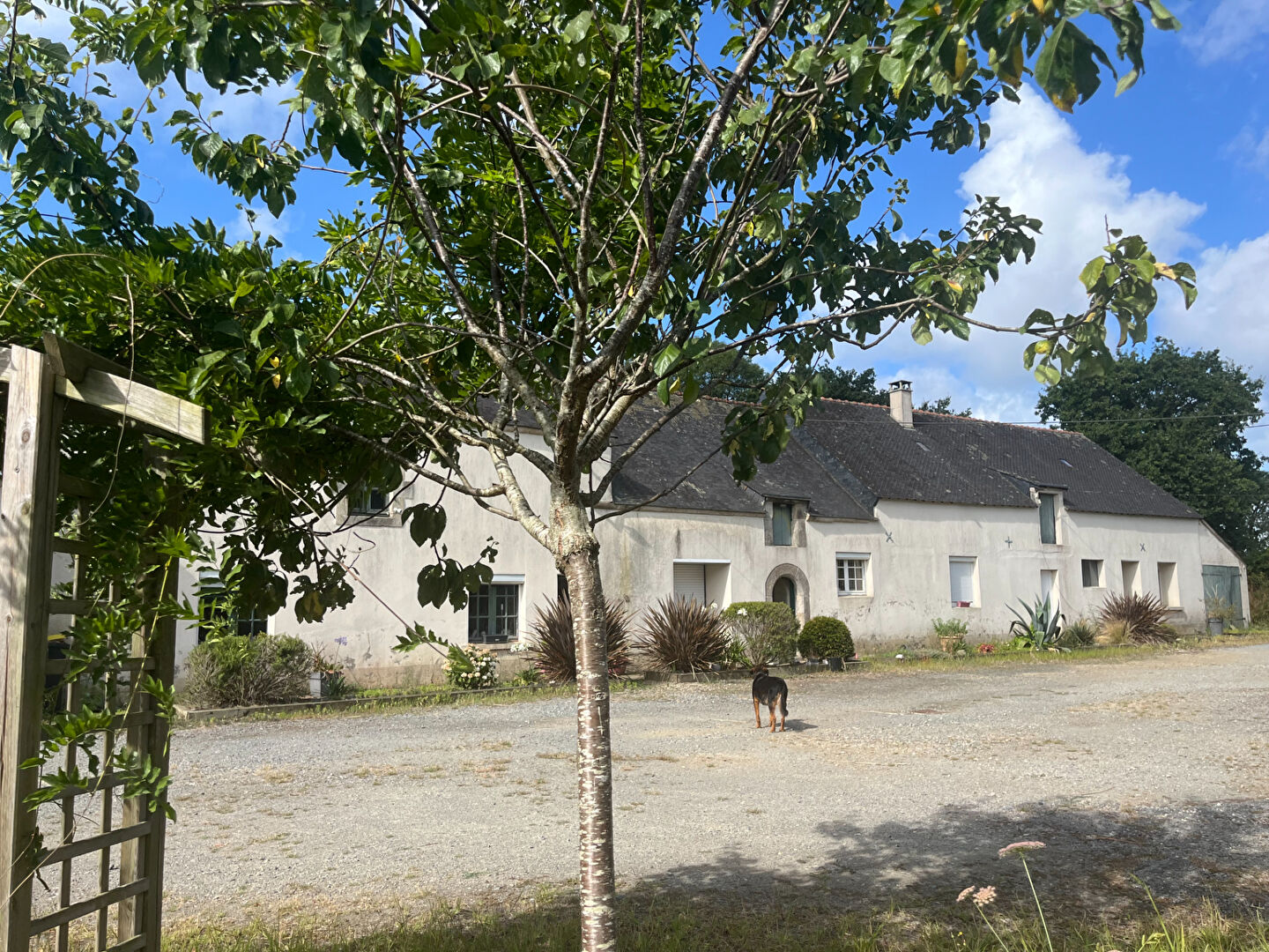 Agence immobilière de 
 Surzur Immobilier - SURZUR IMMOBILIER 
