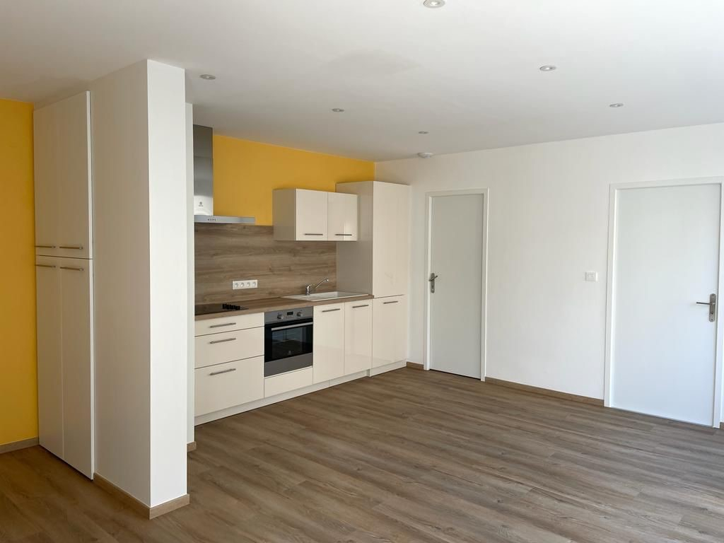 Strasbourg centre ville - 3 pièces - 53 m2