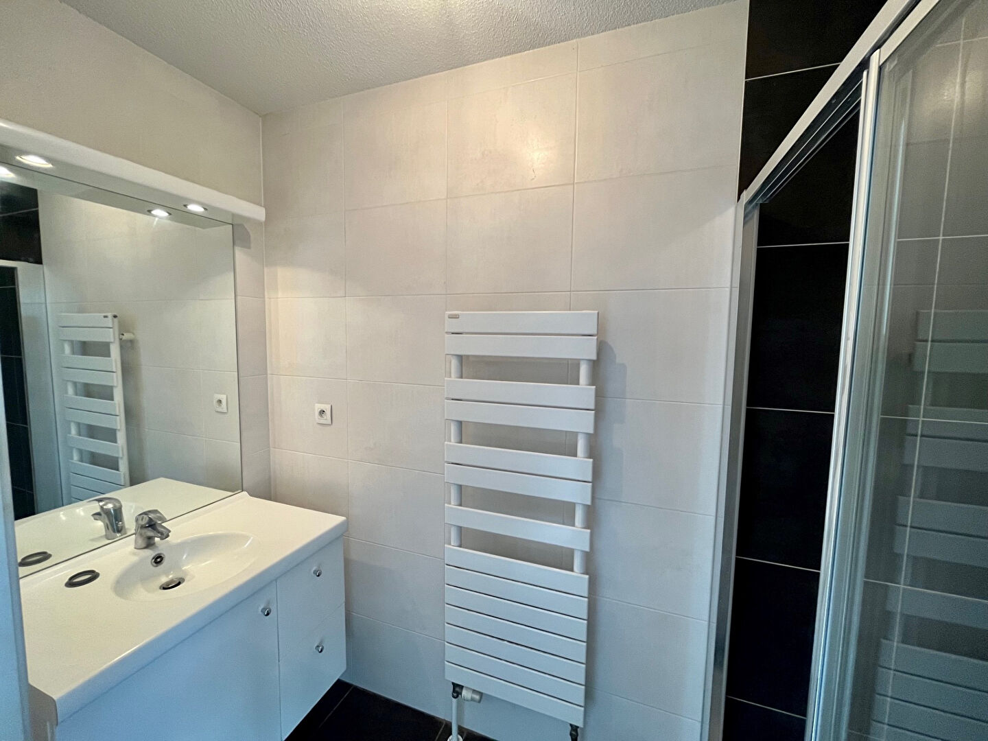 Photo Appartement Lingolsheim 2 pièces meublé  - Attique image 6/6