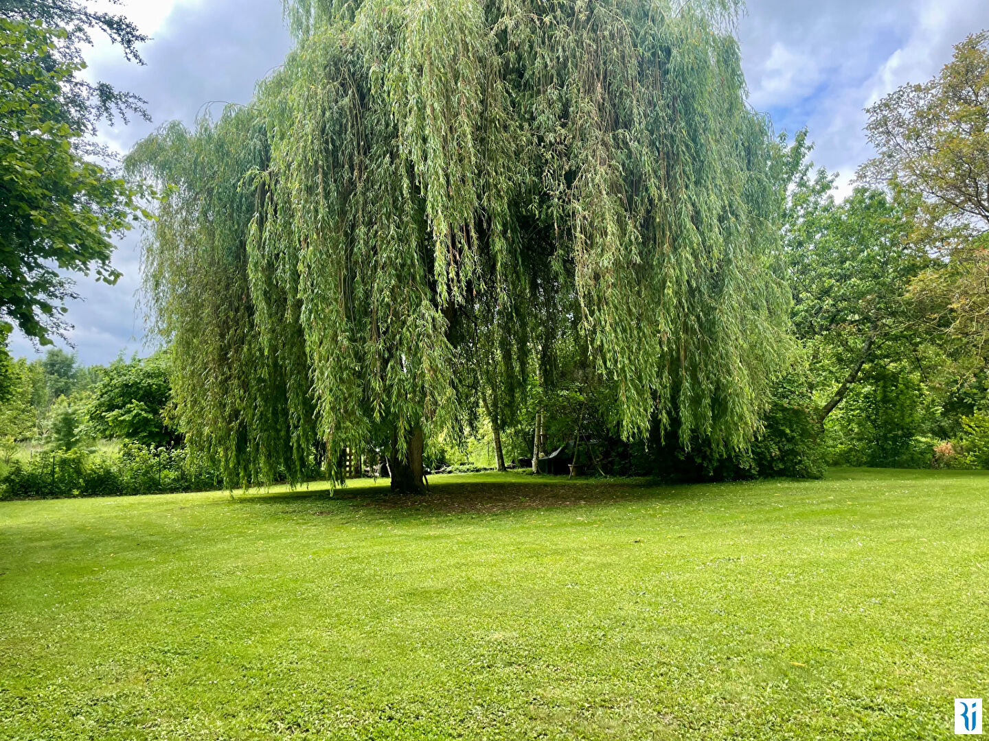 Photo Maison ORIVAL (76500) 5 pièces 220m² image 3/6