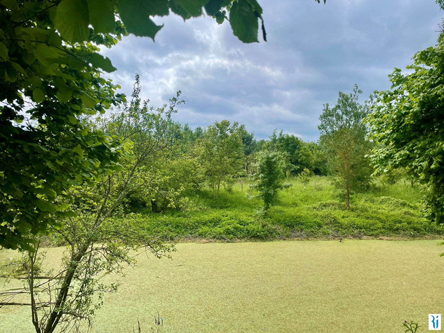 Photo Maison ORIVAL (76500) 5 pièces 220m² image 4/6