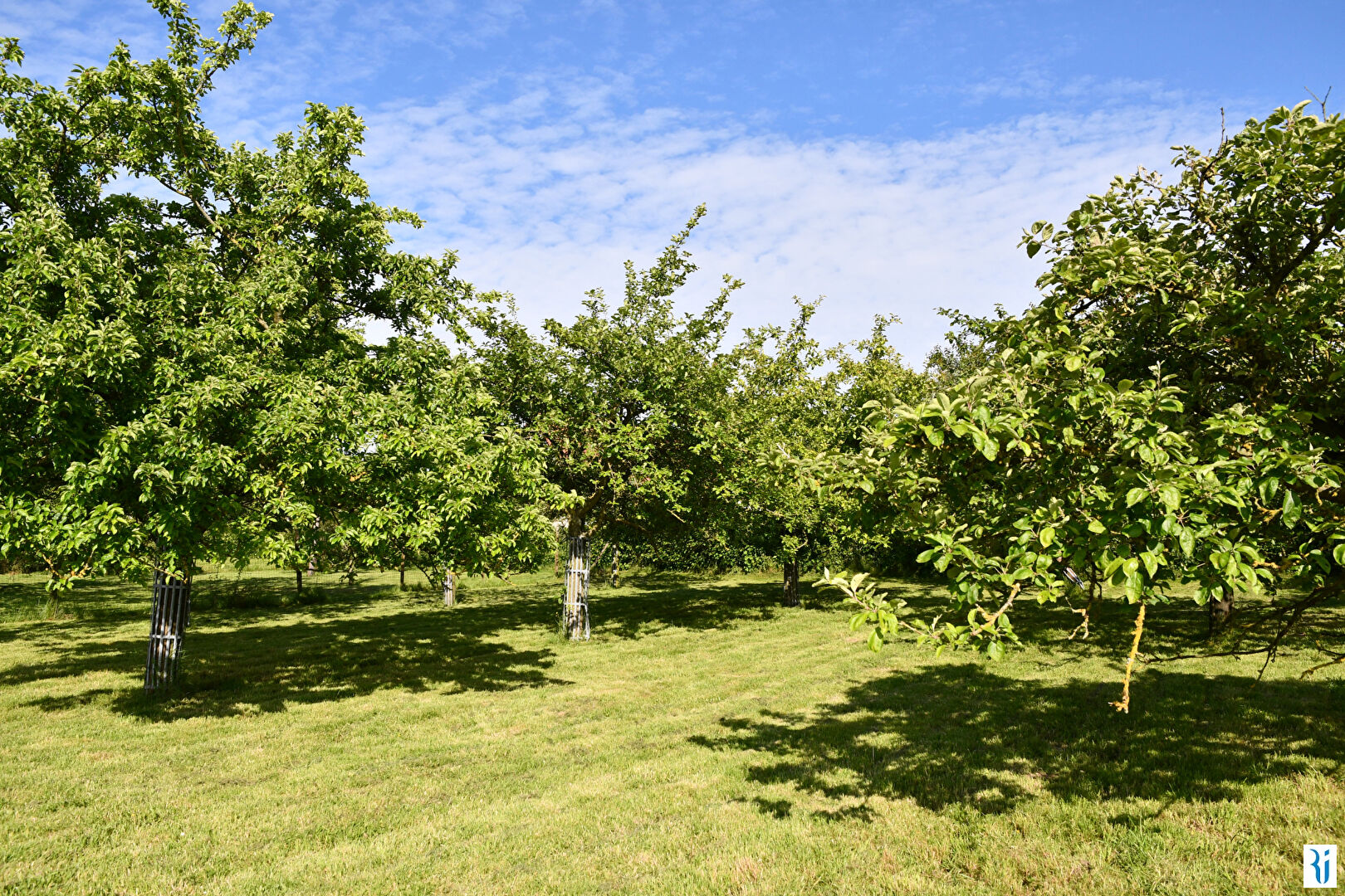 Photo Maison Montmain 6 pièce(s) 146.20 m2 avec dépendances et vergers image 2/6