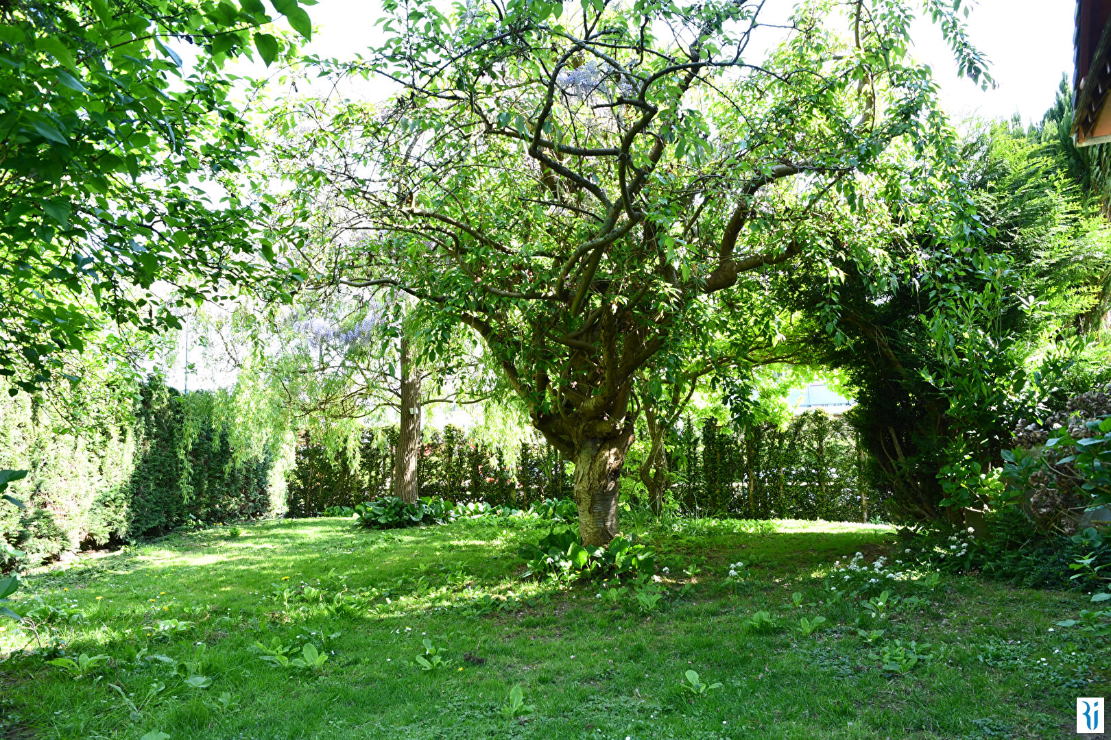 Photo BONSECOURS, Maison 6 pièces - 5 chambres avec jardin et sous-sol image 3/6