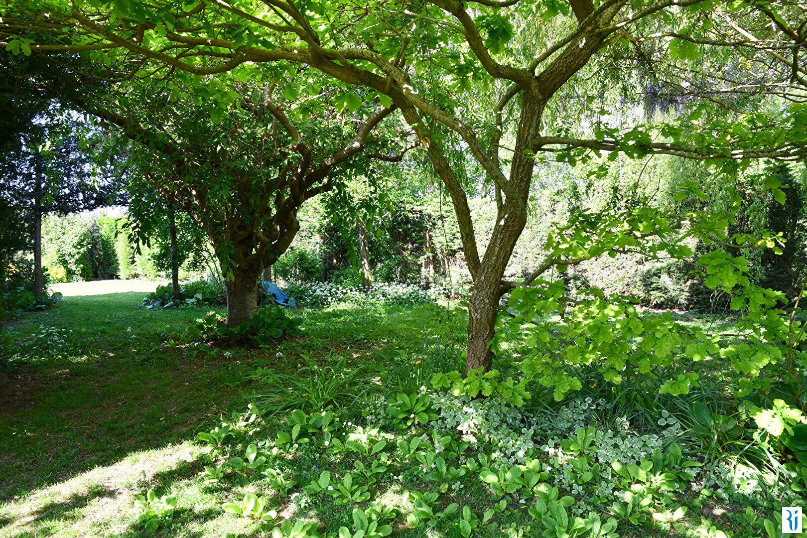Photo BONSECOURS, Maison 6 pièces - 5 chambres avec jardin et sous-sol image 6/6