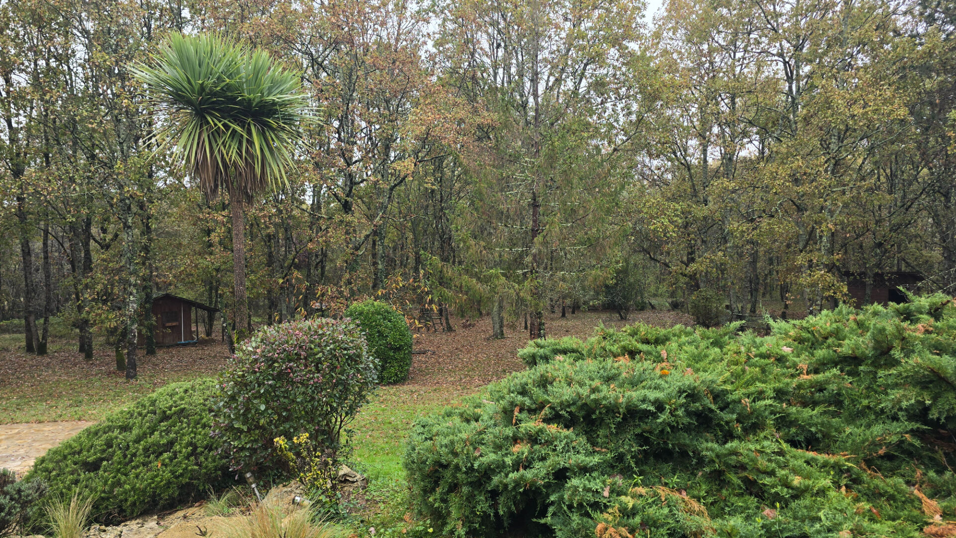 Photo Maison Montauban - 6 pièces -180 m2 image 6/6