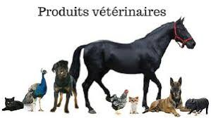 Photo Officine de 78 m2 image 5/6