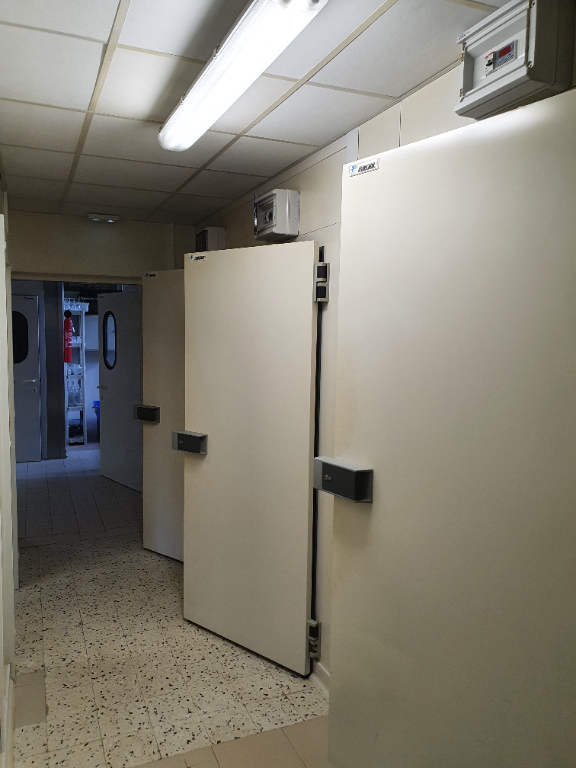 Photo Local commercial La Chartre Sur Le Loir 1 pièce(s) 310 m2 image 5/6