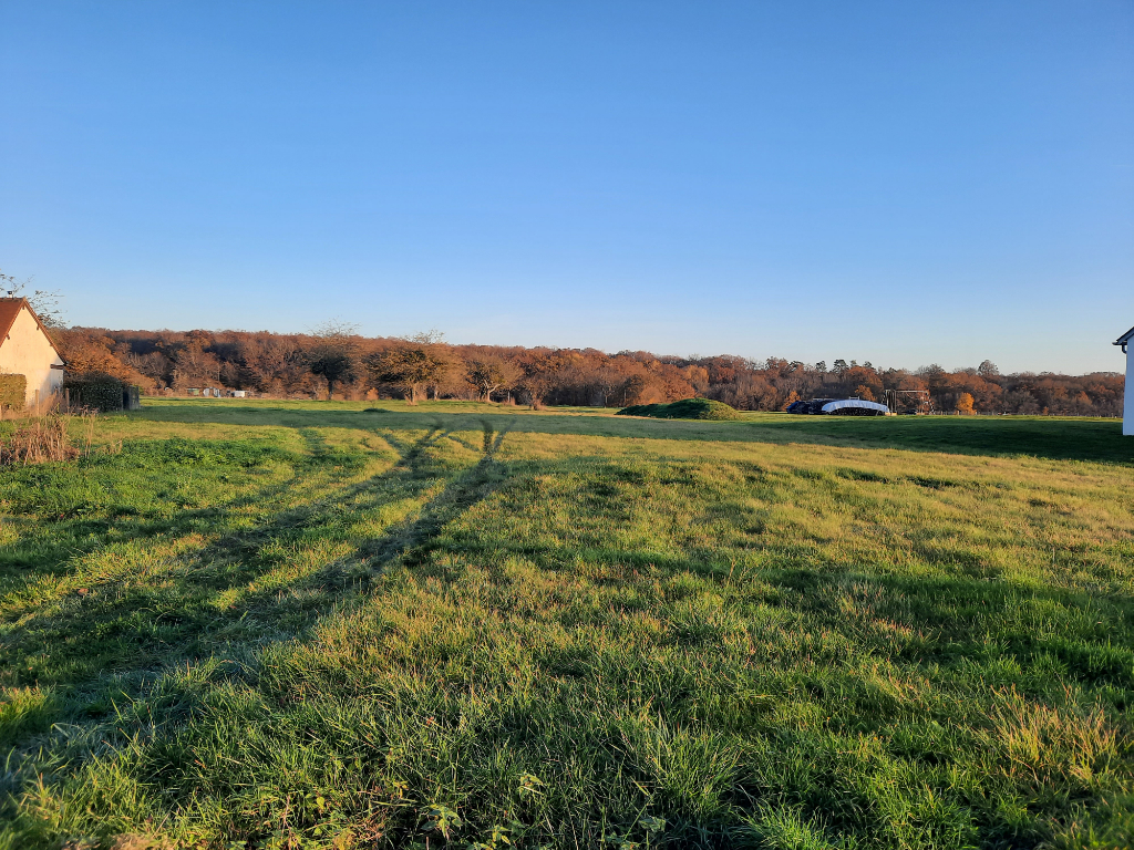 Photo Terrain a bâtir la ferrière 2597 M² image 2/3