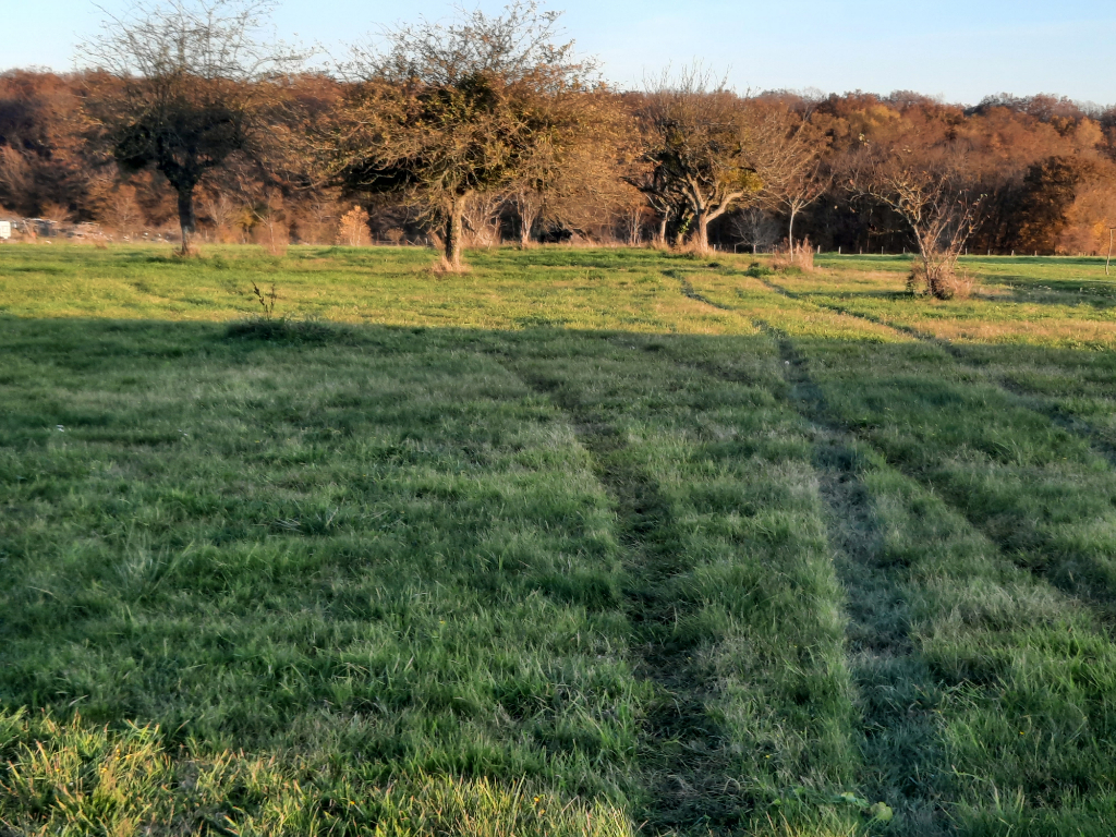 Photo Terrain a bâtir la ferrière 2597 M² image 3/3