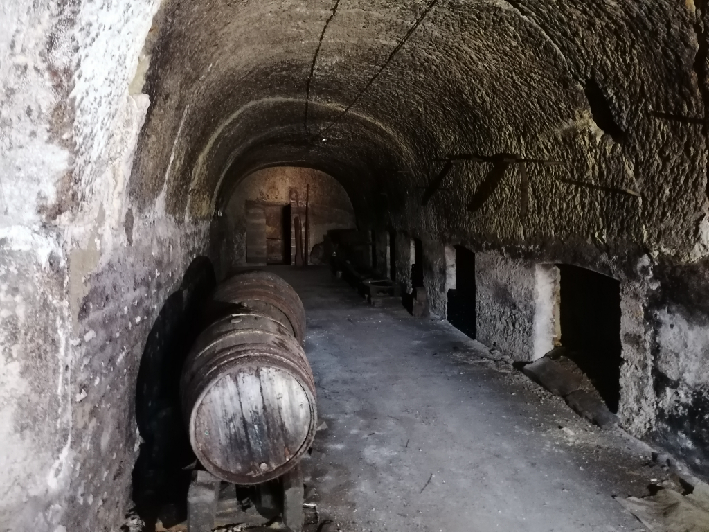 Photo LES ESSARTS  41 Cave de 60m² image 2/2