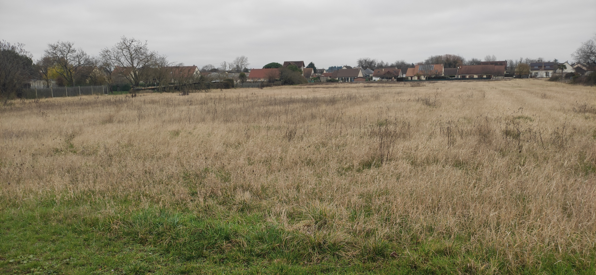 Photo MONTOIRE SUR LE LOIR 41 / TERRAIN A CONSTRUIRE 14 337 M2 image 1/3