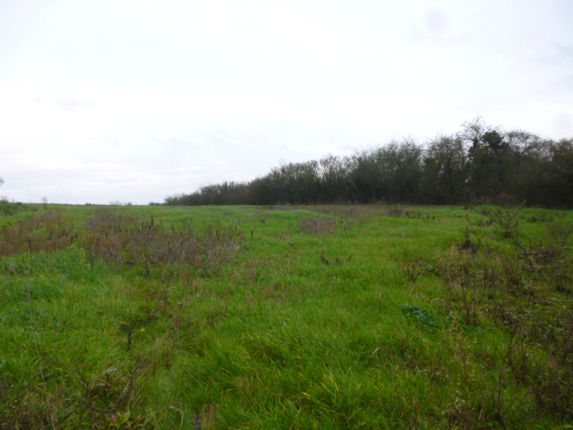 Photo Terrain Montoire Sur Le Loir 849 m2 image 2/4