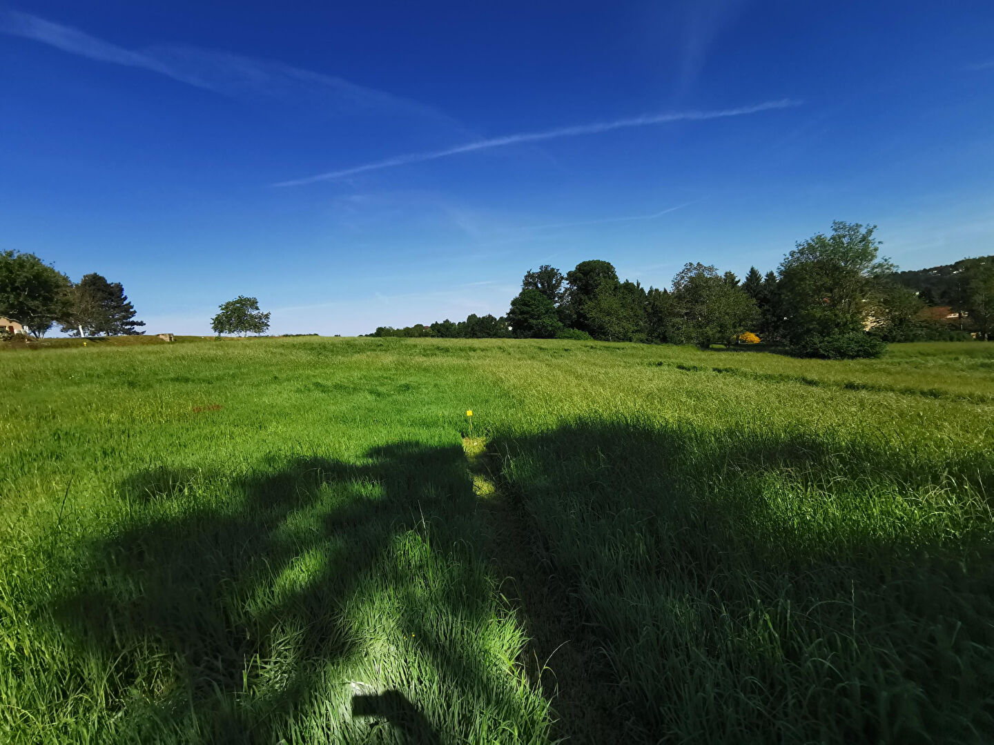 Agence immobilière de Valois Immobilier