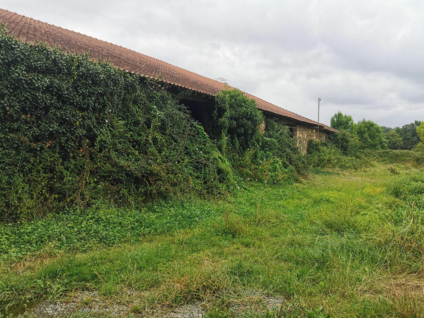 Photo Corps de ferme image 4/5