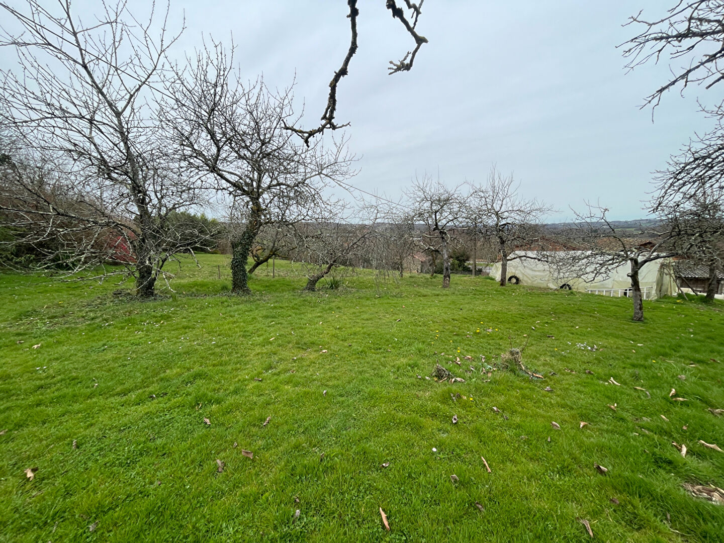 Agence immobilière de Valois Immobilier