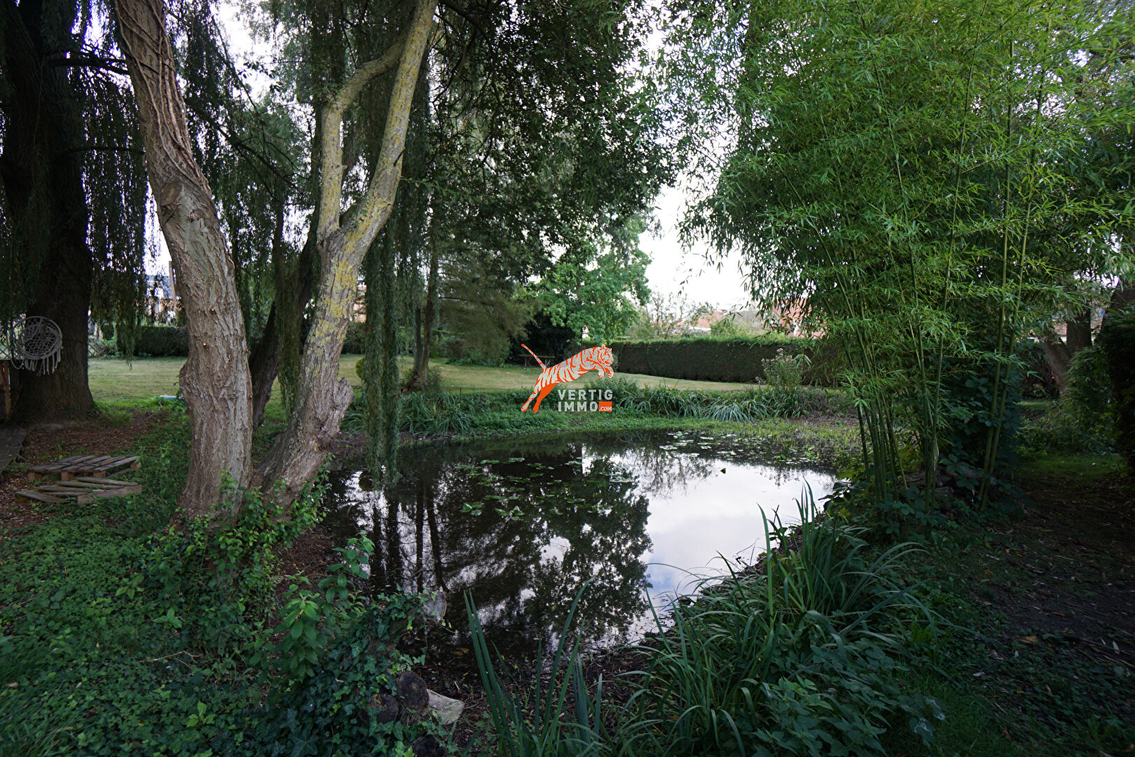 Photo MOREUIL, maison avec étang centre-ville image 4/6