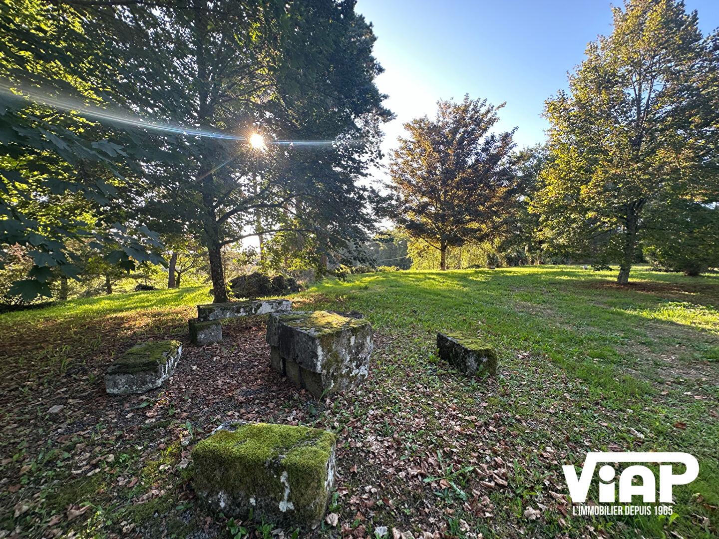 Photo Beaune Les Mines, 10010 m² de terrain à 15 minutes de LIMOGES image 2/6