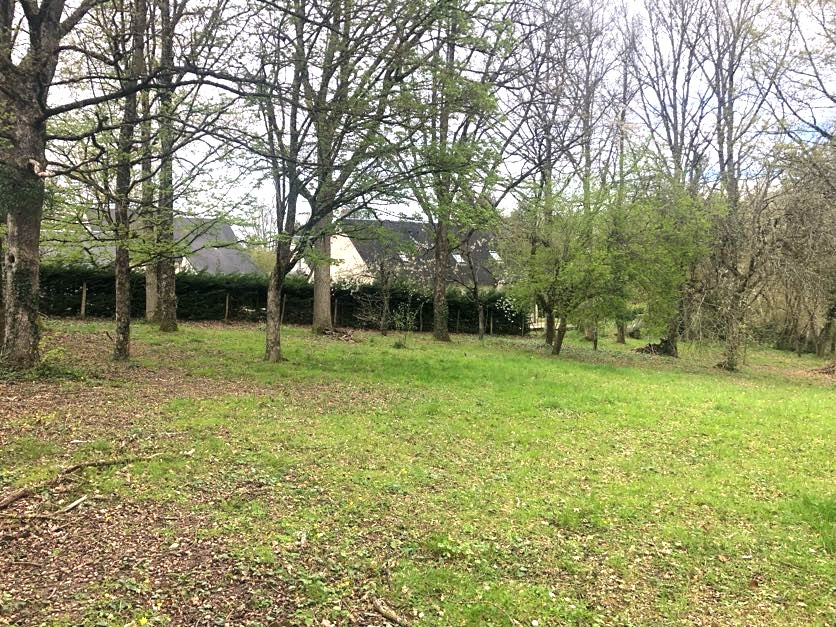 Photo Terrain à bâtir Veigné 1009 m2 image 2/3