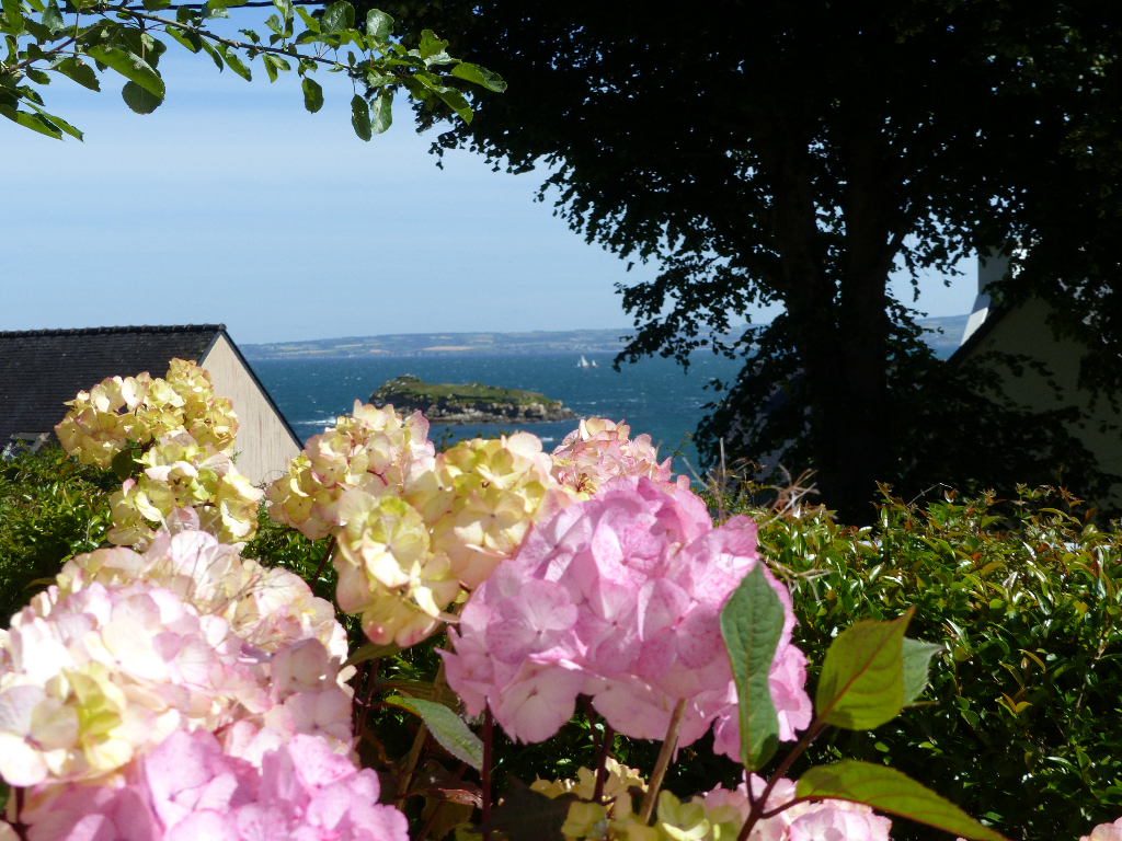 Photo Adorable années 30 image 4/6