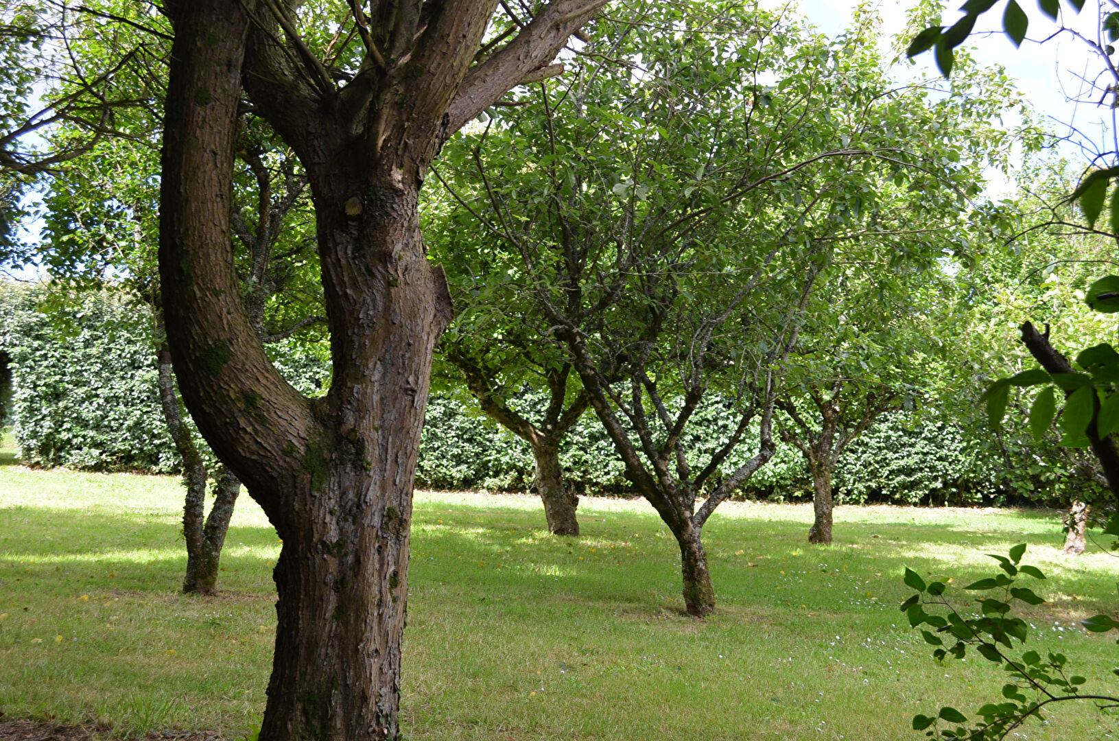 Photo Joli corps de ferme Saint Nic petite vue mer image 6/6