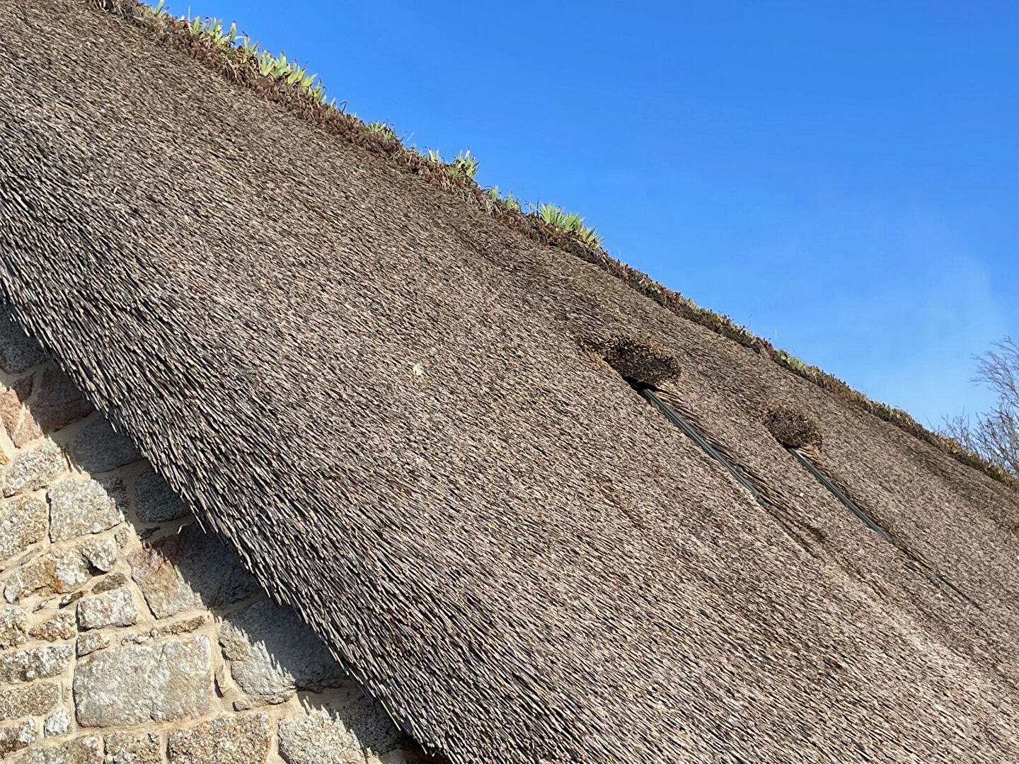 Photo Village de chaumières proche du Belon image 4/6