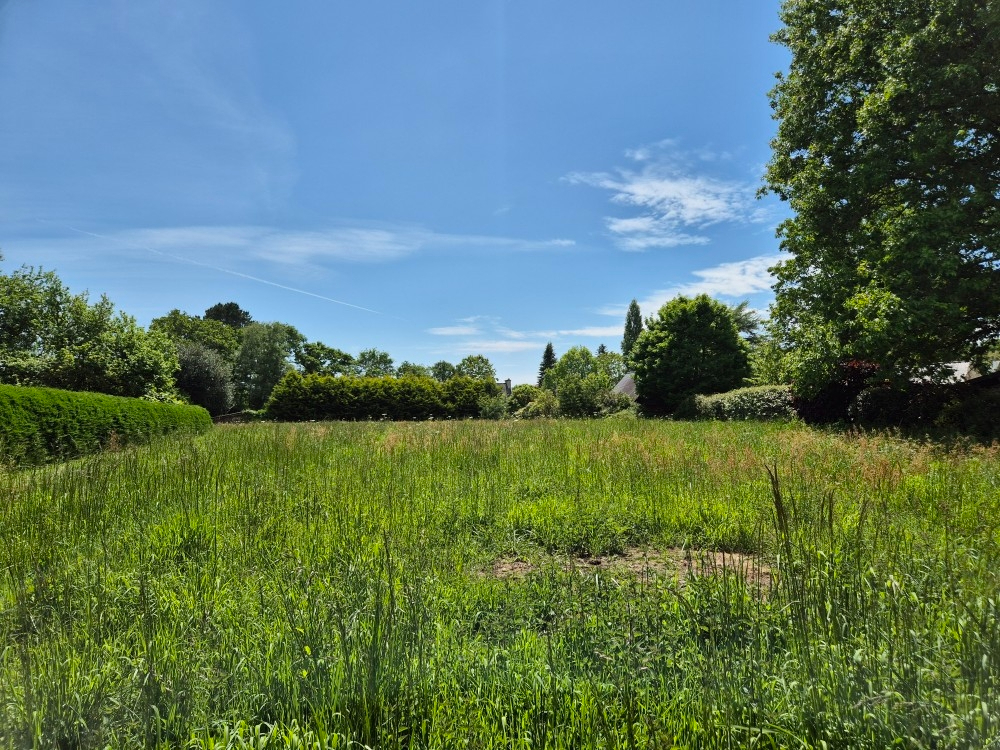 Agence immobilière de Villadici