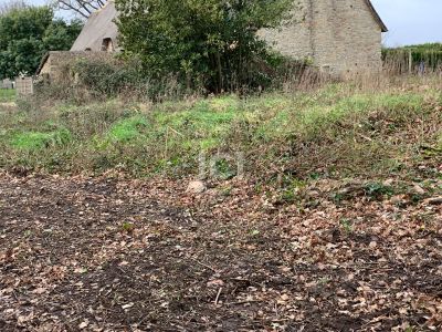 Photo Terrain Saint Lyphard 448 m2 image 2/2