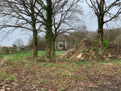 Terrain Saint Lyphard