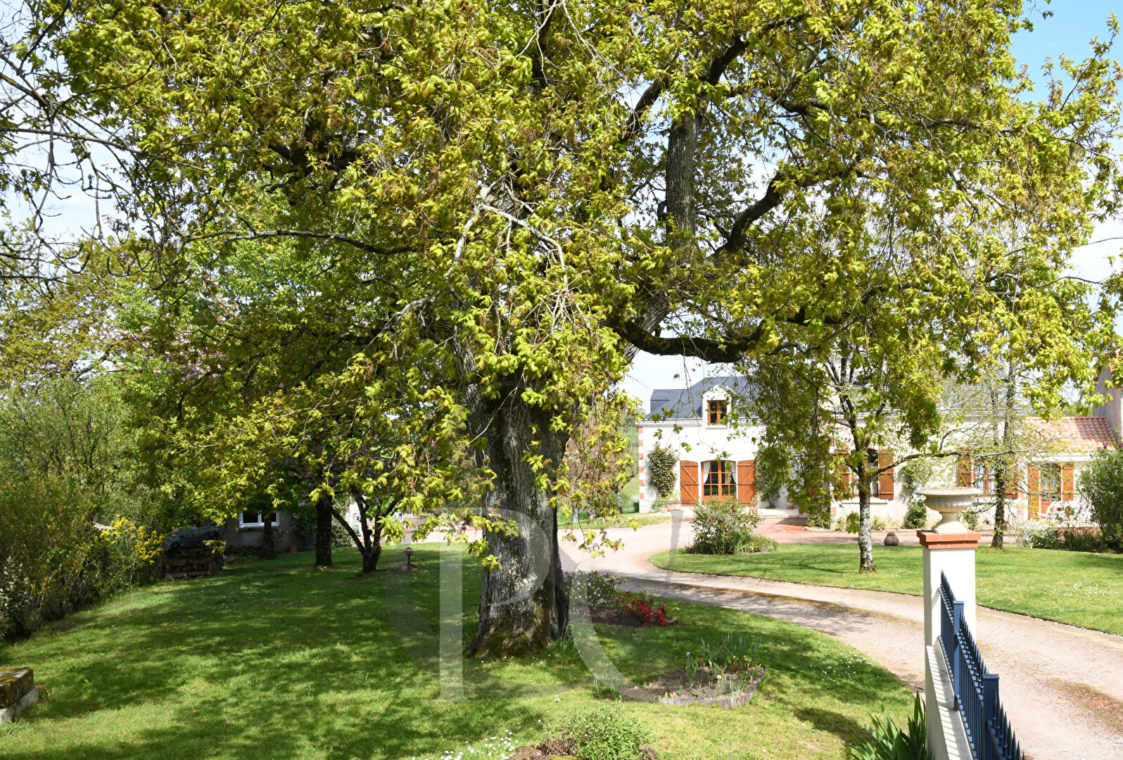 Photo Maison La Roche Sur Yon 9 pièces 230 m2 image 1/5