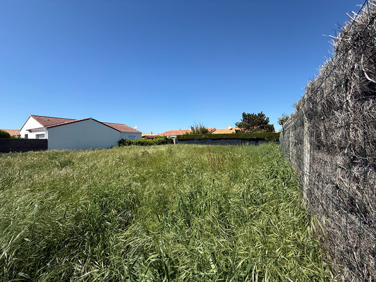 TERRAIN - LES GRANDS RIAUX