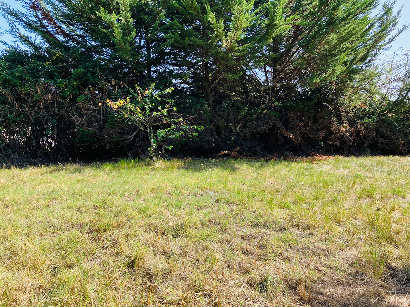 Photo Terrain Les Sables D'Olonne d'environ 800 m² image 2/3