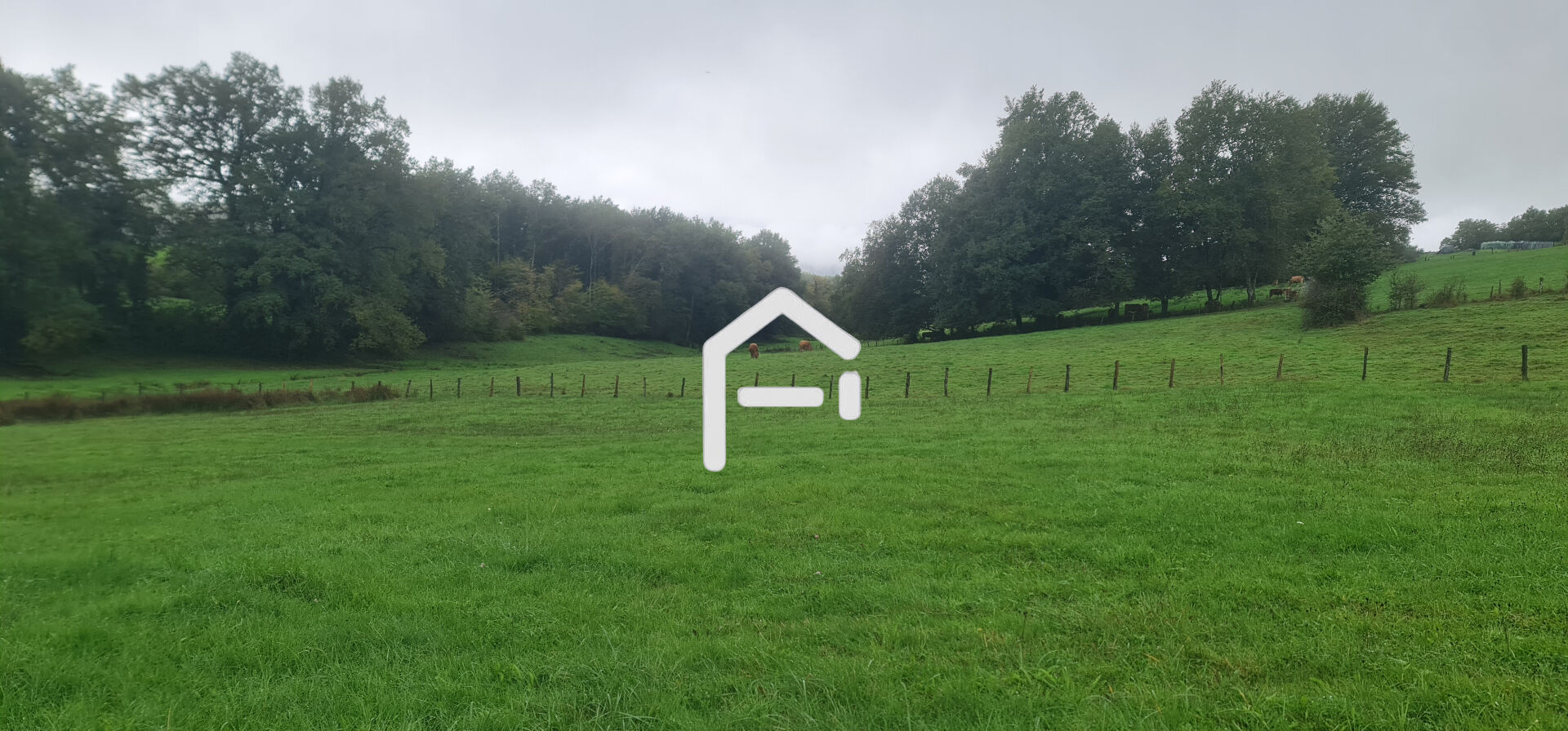 Photo Terrain Allassac 2099 m2 image 2/4