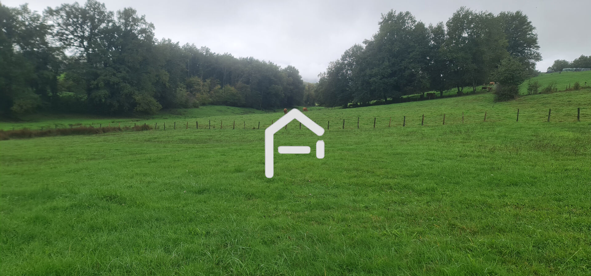 Photo Terrain Allassac 2099 m2 image 3/4