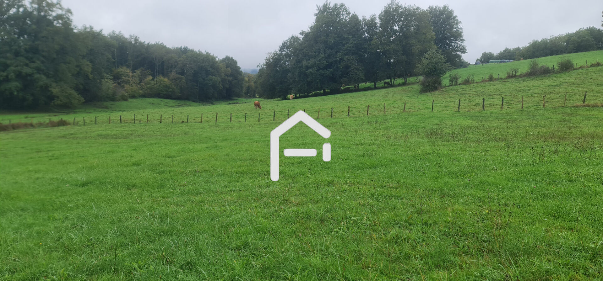 Photo Terrain Allassac 2099 m2 image 4/4