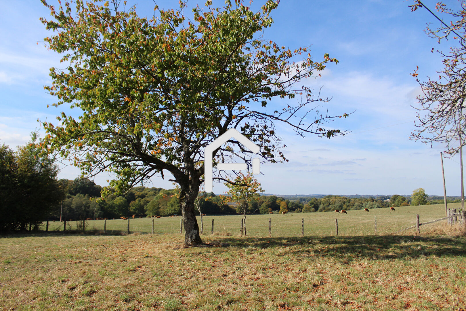 Agence immobilière de France Proprio