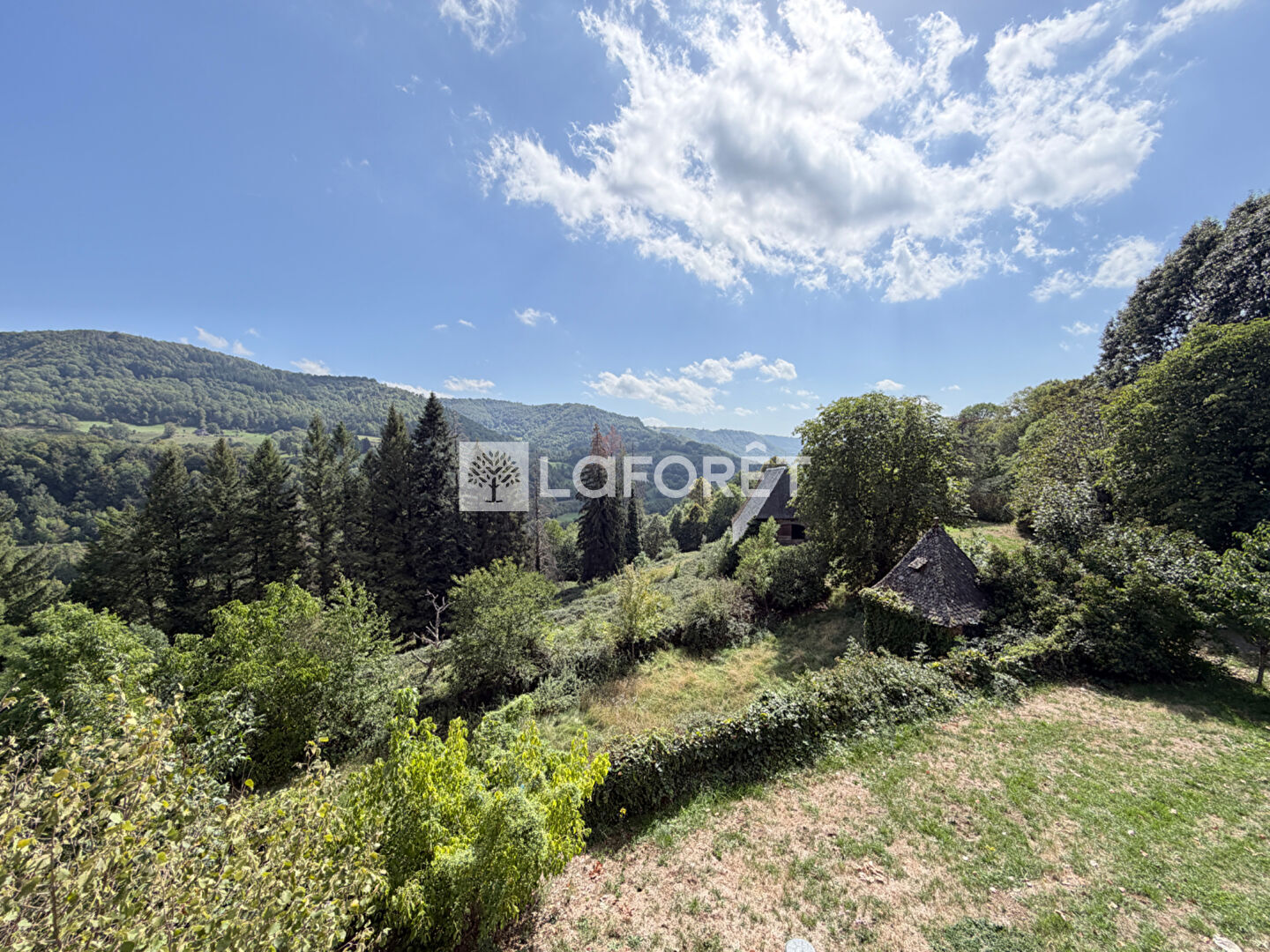 Ensemble immobilier - Thiezac