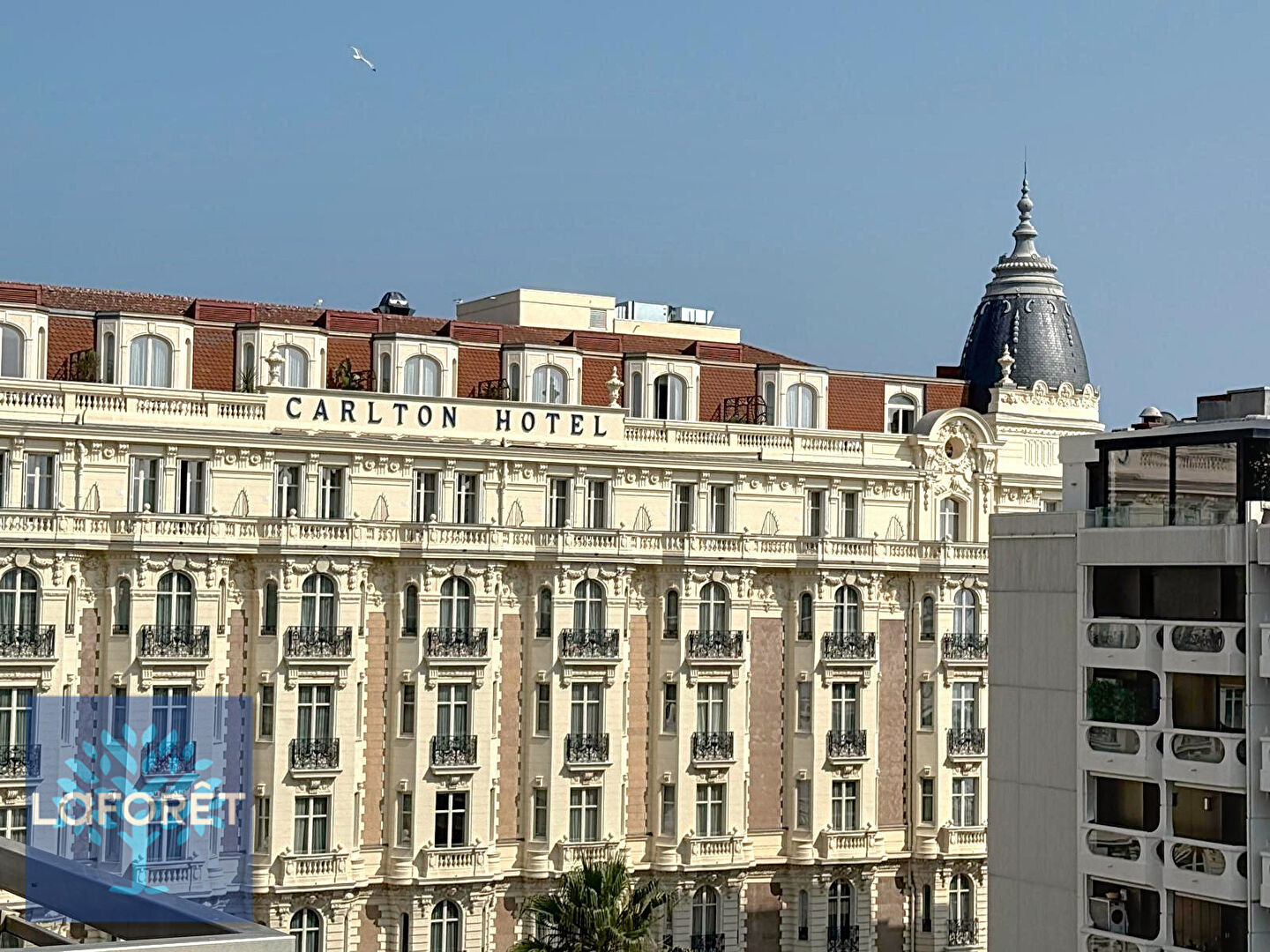 RARE - DERNIER ÉTAGE AVEC TOIT-TERRASSE ENTRE LE CARLTON ET LE MARRIOTT